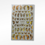 Nail art Sticker ZY035 Rose Gold