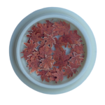 Nail Art Autumn Accessories #1